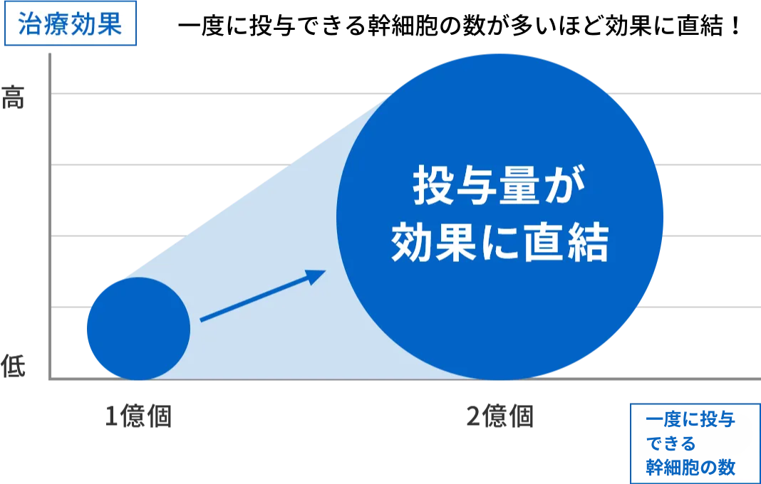 幹細胞の投与量が多いほど効果に直結！