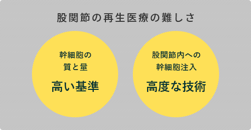 股関節の再生医療の難しさ