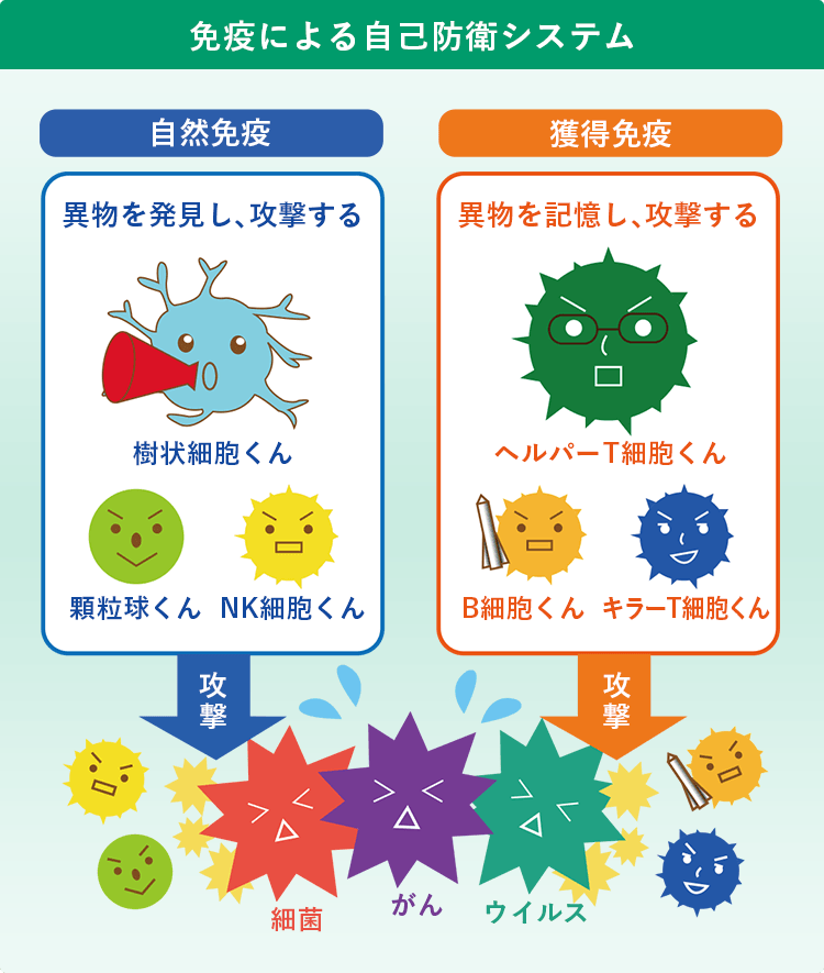 NK細胞免疫療法