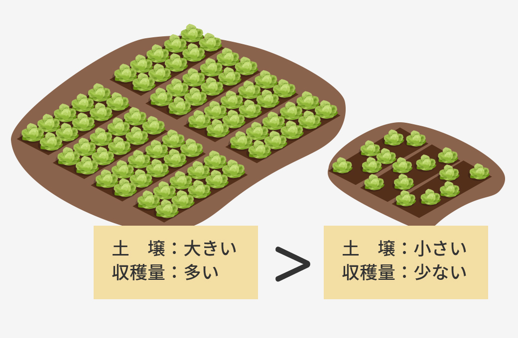 軟骨下骨をできるだけ多く再生させることで、その土台の上に再生される軟骨の量が決まってくる