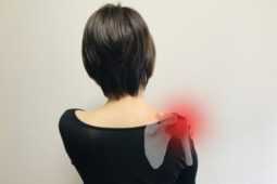 肩腱板断裂の再生医療