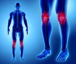膝半月板損傷 手術の種類とは リペアセルクリニック東京院