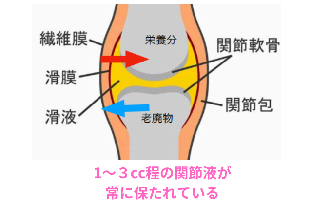 膝の水