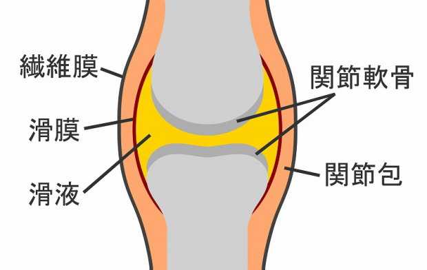 膝に水が溜まるのは放置厳禁！原因と治療法 | リペアセルクリニック東京院