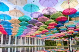 色鮮やかな傘