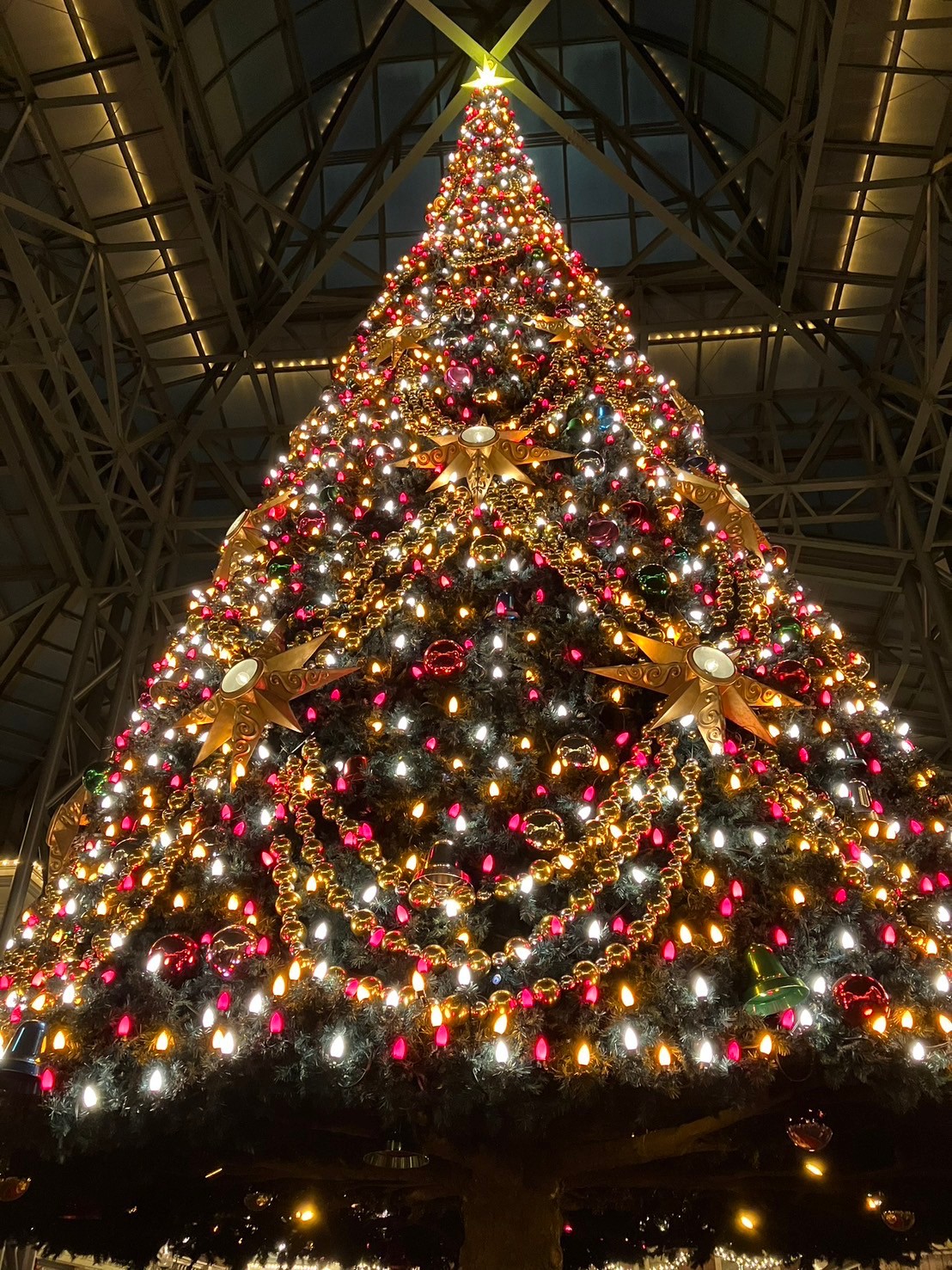 クリスマス・キリスト生誕・ライト・年中飾ってキレイ・運気の下がる暗い玄関に灯りを クリスマス・キリスト生誕・ライト・年中飾ってキレイ・運気の