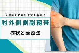 肘外側側副靱帯
