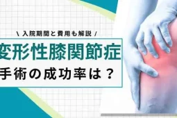 変形性膝関節症 手術 成功率