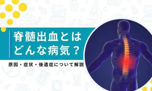 脊髄損傷とは