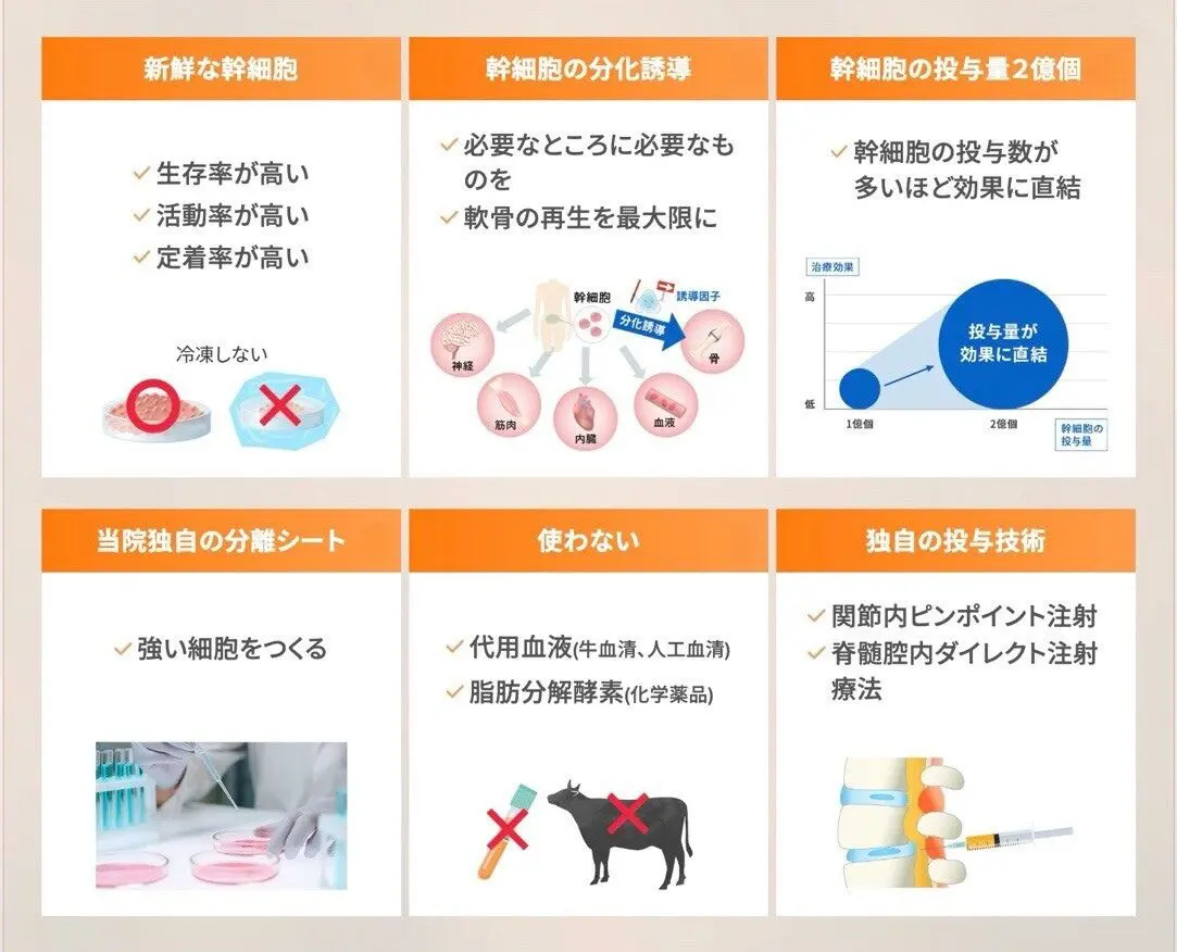 リペアセルクリニックの特徴