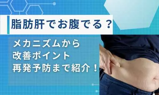 脂肪肝お腹でる