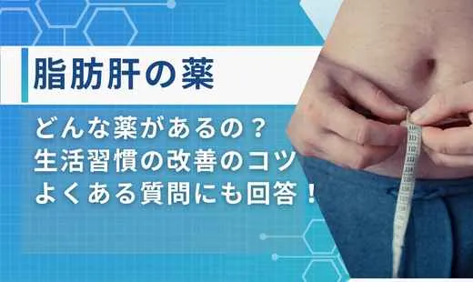 脂肪肝薬