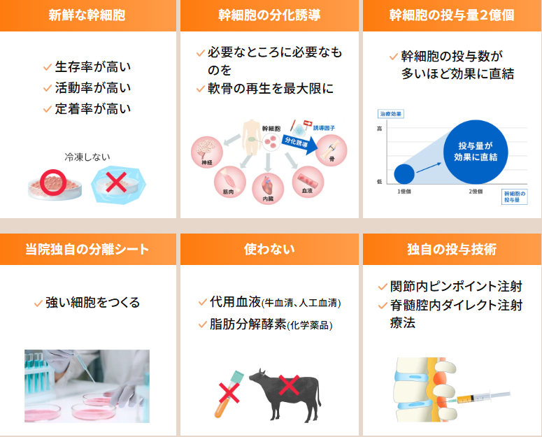 幹細胞治療の特徴