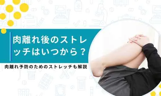 肉離れ ストレッチ