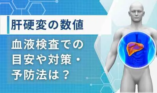 肝硬変 数値