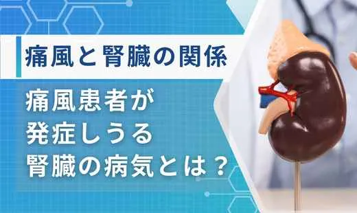 痛風 腎臓