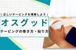 d35ee95b81adb87316c6fc47ffc1dee6