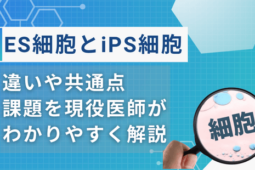 es細胞 ips細胞違い