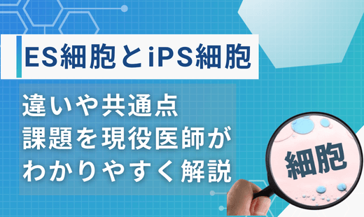 es細胞 ips細胞違い