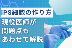 ips細胞作り方