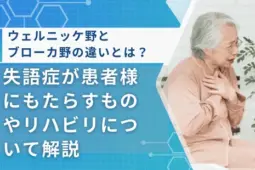 ブローカ野 ウェルニッケ野 違い