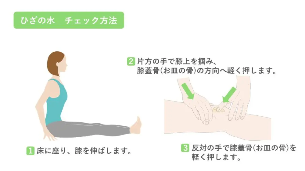膝の水チェック方法