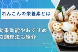 れんこん栄養