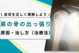 60b64d0317ae45f9f09c7096b819cb87