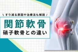 関節軟骨 硝子軟骨