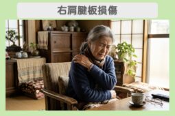 右肩腱板損傷のイメージ画像