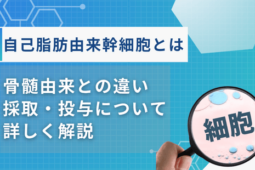 幹細胞投与数