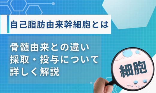 幹細胞投与数