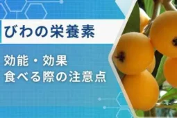 びわ栄養素