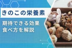 きのこ栄養素