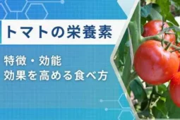 トマト栄養素
