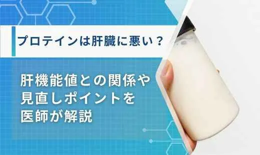 プロテイン 肝臓