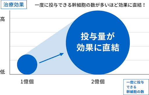 幹細胞の投与数グラフ