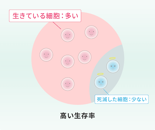 細胞の鮮度