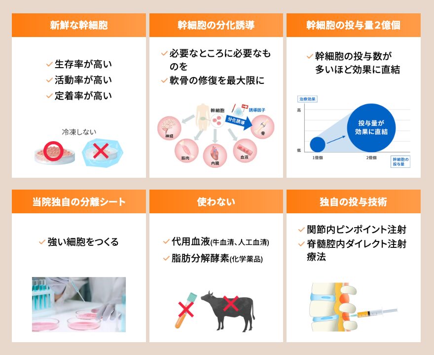 リペアセルクリニックの特長