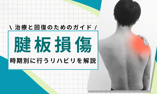 腱板損傷 リハビリ