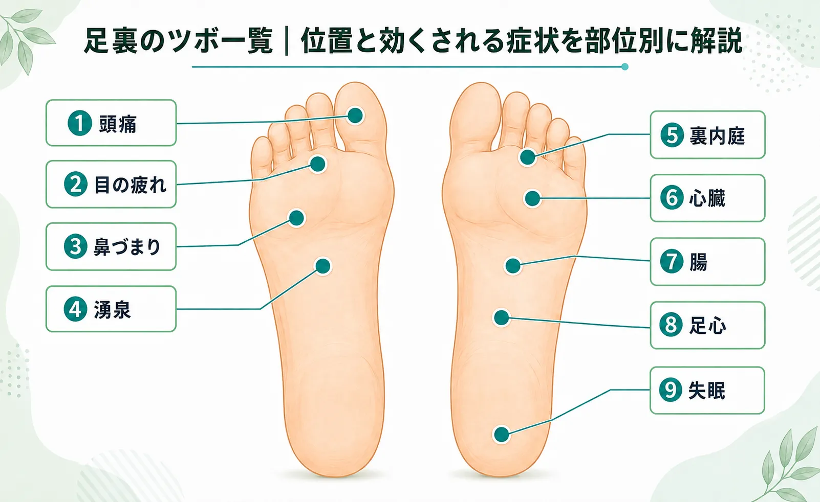 足裏のツボ一覧