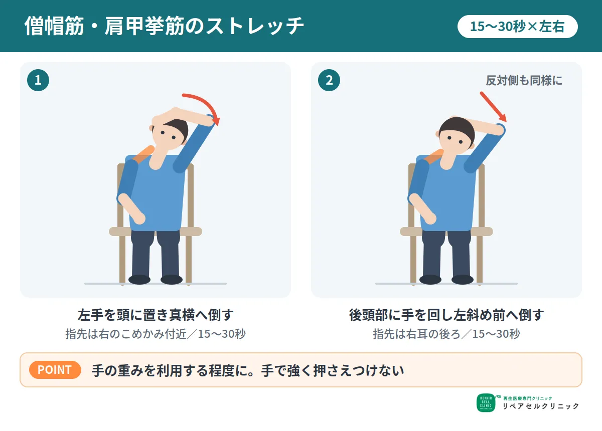 僧帽筋・肩甲挙筋のストレッチ