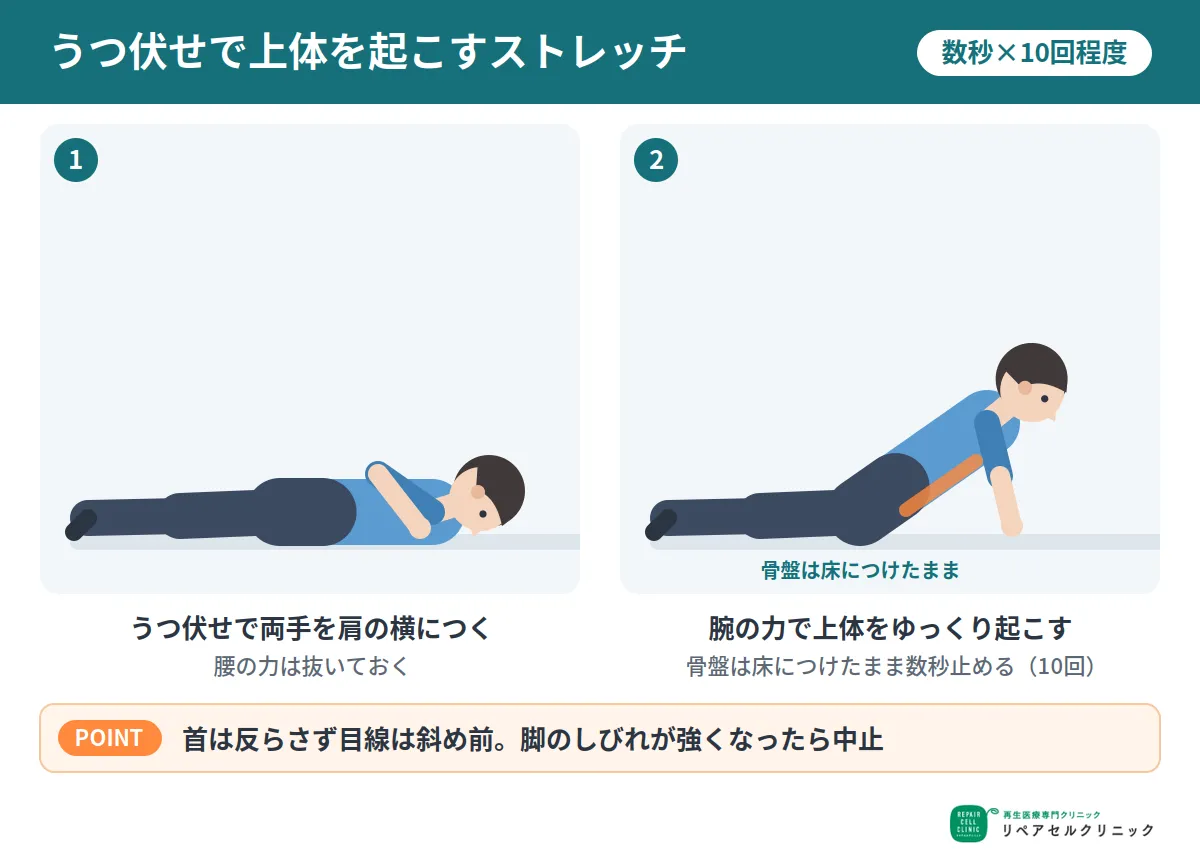 うつ伏せで上体を起こすストレッチ