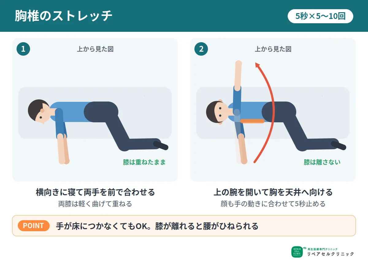 胸椎のストレッチ