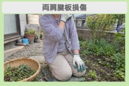 両肩腱板損傷 70代女性のイメージ（AI生成・患者本人ではありません）