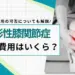 変形性膝関節症 手術 費用