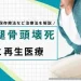 大腿骨頭壊死 再生医療