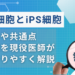 es細胞 ips細胞違い