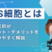 ips細胞とは わかりやすく